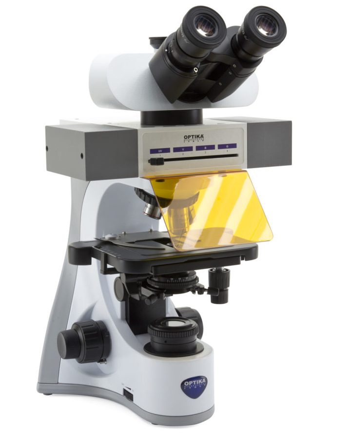 Optika B-510 series laboratory microscope